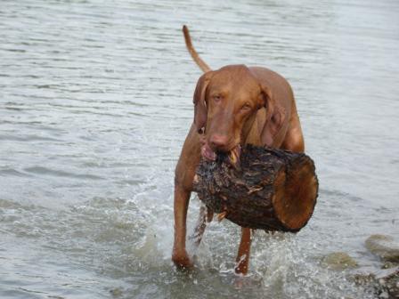 mohli aj niečo ľahšie zobrať